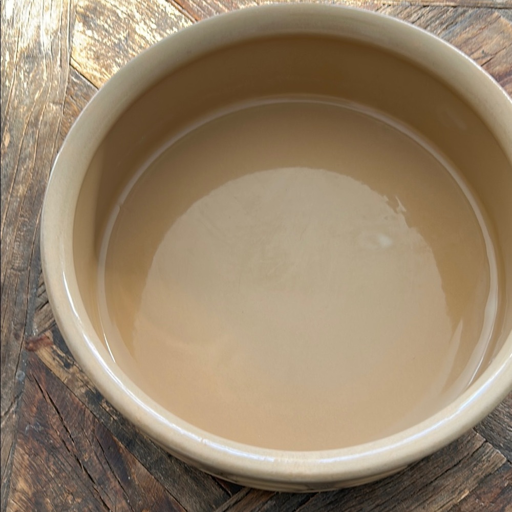 Mason Cash Lettered Dog Bowl - Picture 4 of 5
